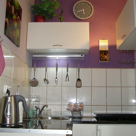 Apartament Dobra Nocka Krynica Zdroj Eksteriør bilde