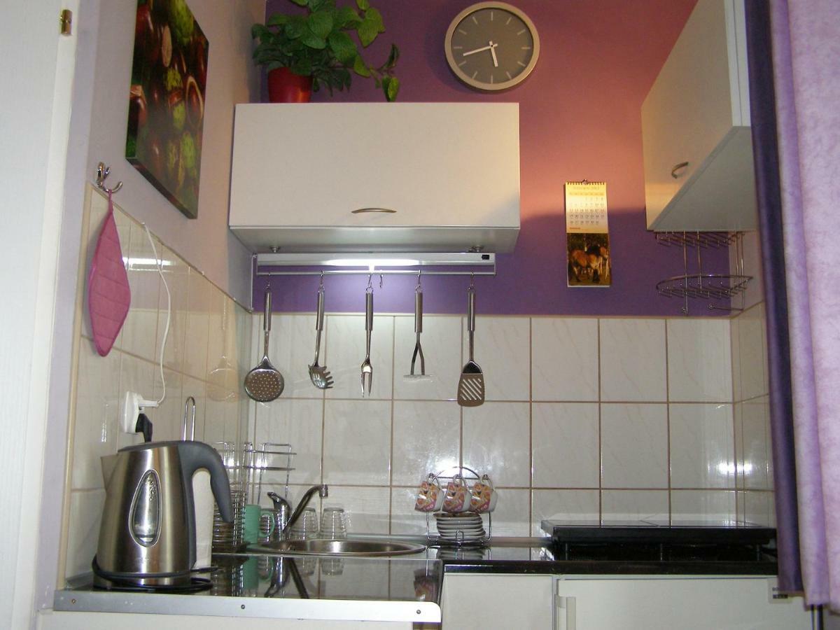 Apartament Dobra Nocka Krynica Zdroj Eksteriør bilde